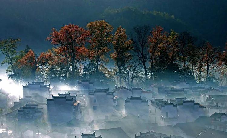 天源环保(301127.SZ):截至2024年1月19日,公司股东人数为25148人