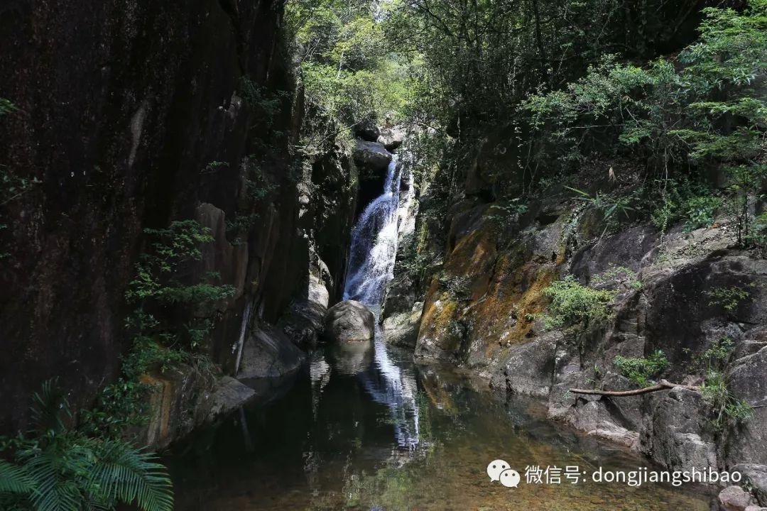 喜马拉雅的音频可以导出mp3吗