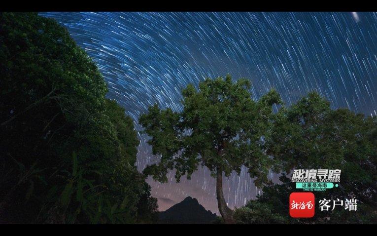 护新春 保平安 忻州公安拉开“冬季平安守护行动”巡逻活动的序幕