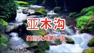 崔永熙发文吐槽,CBA商业化太过于严重,球迷;这其实是件好事