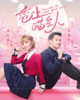 小猫钓鱼正版下载中文版