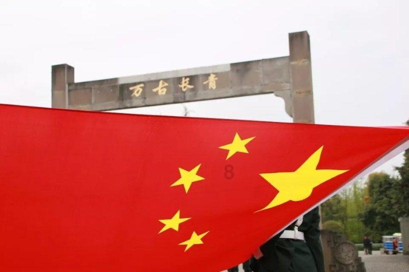 还没出师 山东泰山千万级别外援就有可能报销了 这笔买卖亏大了