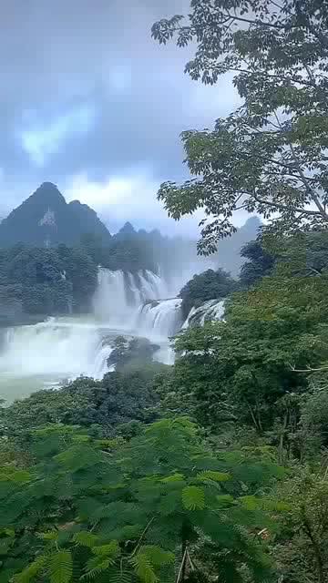 万词王