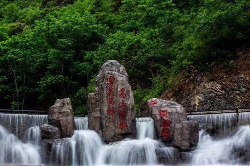 张一元和吴裕泰哪个好