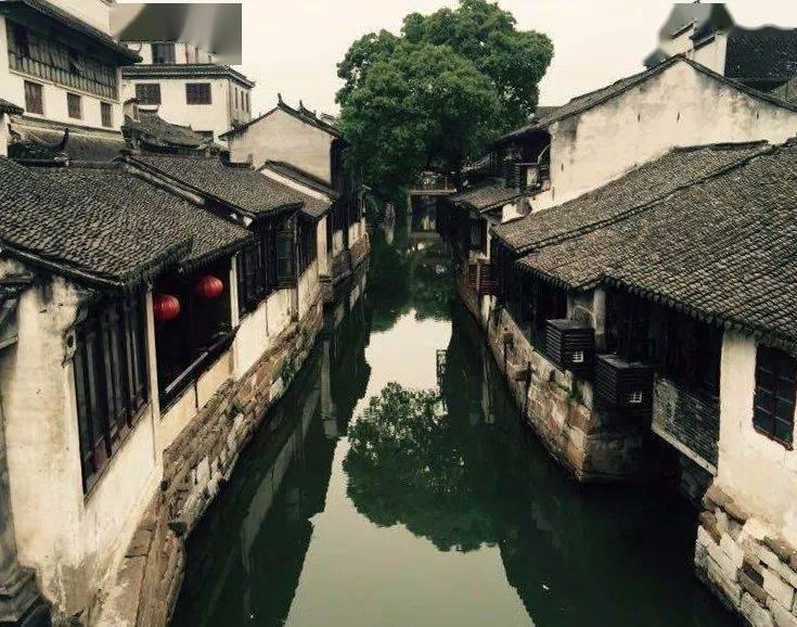 桃酥怎么做吃着脆泡着稠？游戏画面