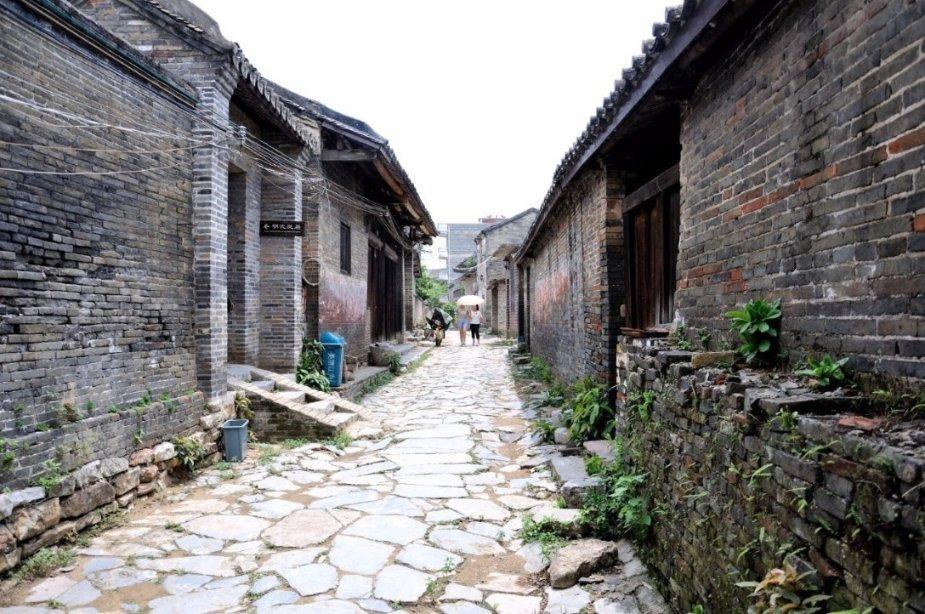 (乡村行·看振兴)山西潞州:“小庭院”书写生态致富“大文章”